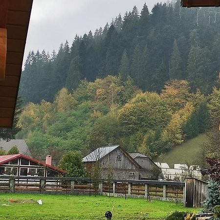 Casa De Poveste 苏恰维塔 外观 照片